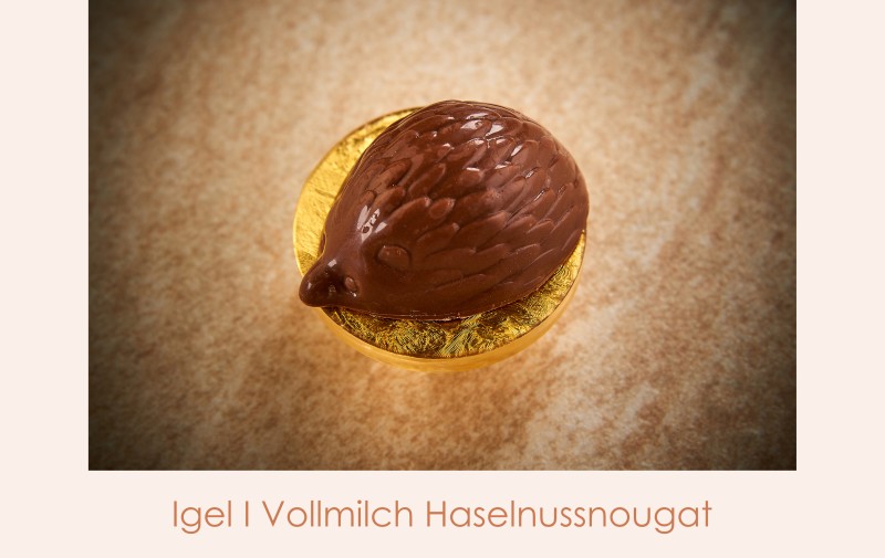 Igel